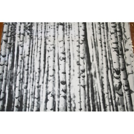 Placemat Berk /Birch 40 x 50 cm